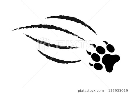 Pawprint with scratch claw trail. Wild animal talons track print isolated on white background. Skin scars from attack of wolf or panther, leopard or jaguar. Vector graphic illustration Pawprint with scratch claw trail. Wild animal talons track print isolated on white background. Skin scars from attack of wolf or panther, leopard or jaguar. Vector graphic illustration 135935019