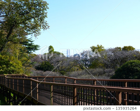 The view from Hodogaya Park The view from Hodogaya Park 135935264