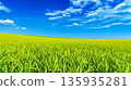 藍天和大草原 135935281