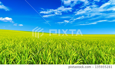 藍天和大草原 135935281