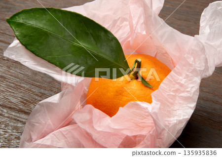 神奈川縣的柑橘，湘南的香氣 135935836