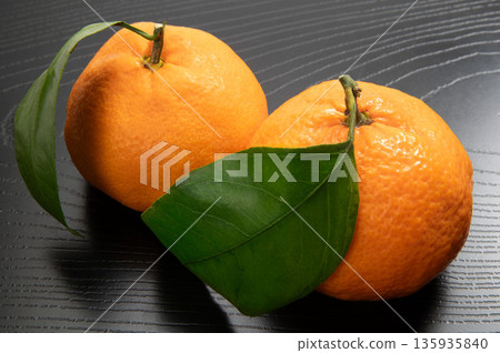 Kanagawa Prefecture's mandarin oranges, the scent of Shonan Kanagawa Prefecture's mandarin oranges, the scent of Shonan 135935840