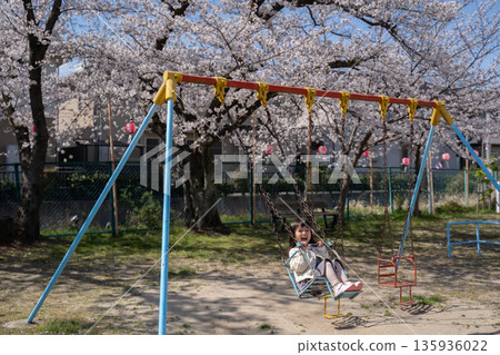 Children enjoying a swing under cherry blossoms in full bloom Children enjoying a swing under cherry blossoms in full bloom 135936022