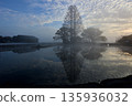 Nuinoike pond shrouded in mist 135936032