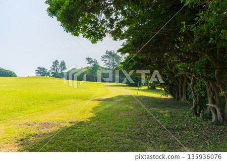和歌山縣串本町的夏天，位於本州島最南端的鹽之岬，瞭望塔草 135936076