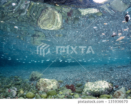 Half-surface shot of the Hirizohama ferry. Hirizohama, Nakagi, Minamiizu Town, Izu Peninsula, Shizuoka Prefecture - 2025 One of Japan's leading snorkeling spots 135936670