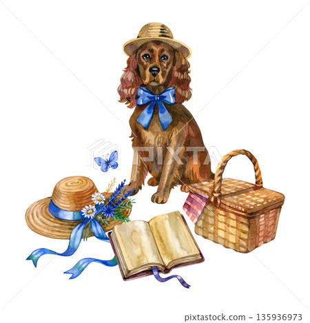 Watercolor illustration of a charming spaniel dog in a straw hat and blue bow, surrounded by picnic essentials like a wicker basket, an open book, and a floral sunhat. Perfect for summer cards. Watercolor illustration of a charming spaniel dog in a straw hat and blue bow, surrounded by picnic essentials like a wicker basket, an open book, and a floral sunhat. Perfect for summer cards. 135936973