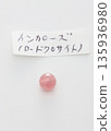 印加玫瑰/菱錳礦 135936980