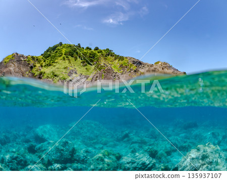 Photograph of the Marine Bird sightseeing boat at Irozaki, halfway above the water. In front of Daikon Island. Hirizohama, Minamiizu Town, Nakagi, Izu Peninsula, Shizuoka Prefecture - 2025, Japan 135937107