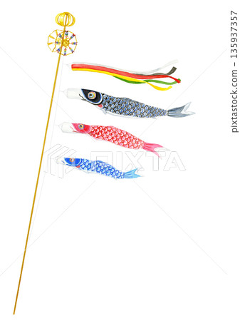 Realistic carp streamers painted in watercolor 135937357