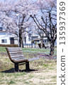 櫻花和長凳 135937369