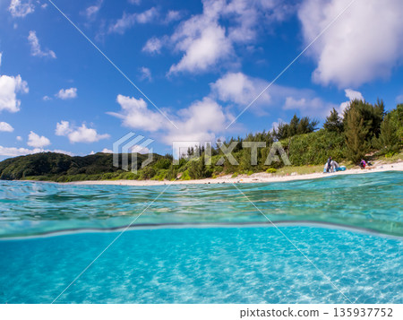 慶良間群島白色沙灘的部分水下照片。卡希島和安室島，美麗的珊瑚礁和成群的熱帶魚。卡希島，沖繩縣島尻郡 135937752