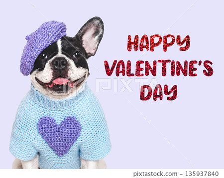 Happy Valentine's Day. Cute puppy and congratulatory inscription Happy Valentine's Day. Cute puppy and congratulatory inscription 135937840