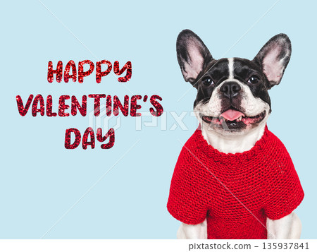 Happy Valentine's Day. Cute puppy and congratulatory inscription 135937841
