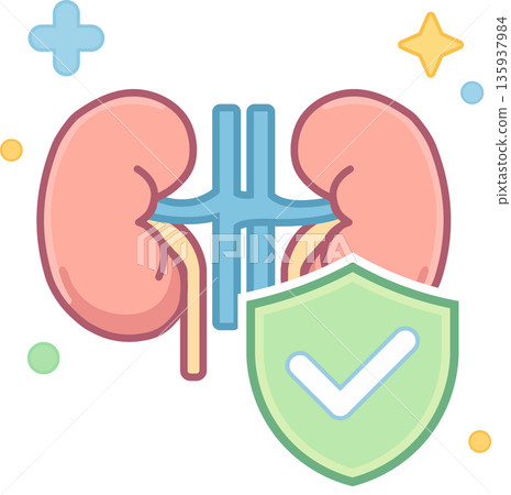 Kidney Health Protection Medical Shield Flat Icon 135937984