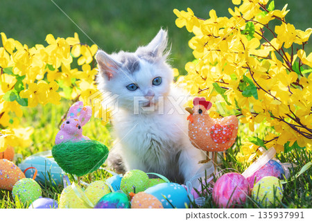 Cute little kitten with flowers in easter composition 135937991