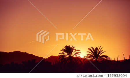 Minimalistic mountain landscape during sunset. Silhouettes of palm trees against the background of mountains at sunset 135938094