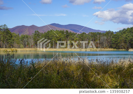 秋天的五色沼湖群弁天沼 秋天的五色沼湖群弁天沼 135938257