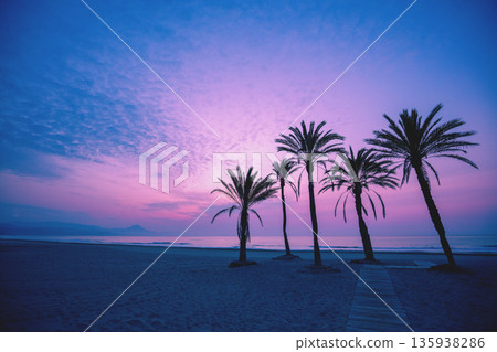 Seascape in early morning during a beautiful purple sunrise. Palm trees on the beach. San Juan beach, Alicante, Spain, Europe Seascape in early morning during a beautiful purple sunrise. Palm trees on the beach. San Juan beach, Alicante, Spain, Europe 135938286