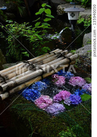 繡球花漂浮在水中 135940050