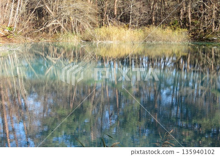 Autumn of Goshikinuma 135940102