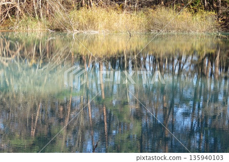 Autumn of Goshikinuma 135940103