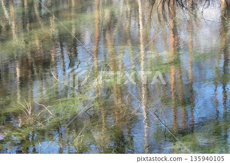 Autumn of Goshikinuma Autumn of Goshikinuma 135940105