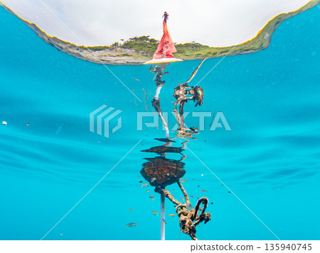 A cute school of juvenile amberjack and rainbow amberjack. They live on a buoy. Hirizohama, Minamiizu Town, Nakagi, Izu Peninsula, Shizuoka Prefecture - 2025, Japan A cute school of juvenile amberjack and rainbow amberjack. They live on a buoy. Hirizohama, Minamiizu Town, Nakagi, Izu Peninsula, Shizuoka Prefecture - 2025, Japan 135940745