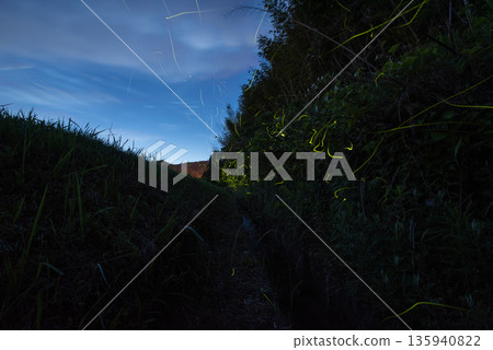 螢火蟲跳舞的風景 螢火蟲跳舞的風景 135940822