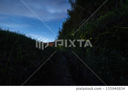 螢火蟲跳舞的風景 螢火蟲跳舞的風景 135940834