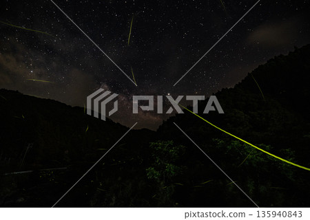 Scenery of Fireflies Dancing 135940843