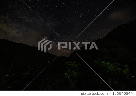 Scenery of Fireflies Dancing 135940844