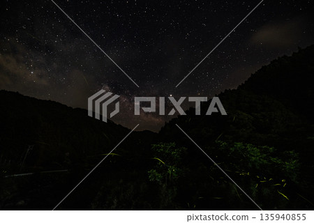 Scenery of Fireflies Dancing 135940855