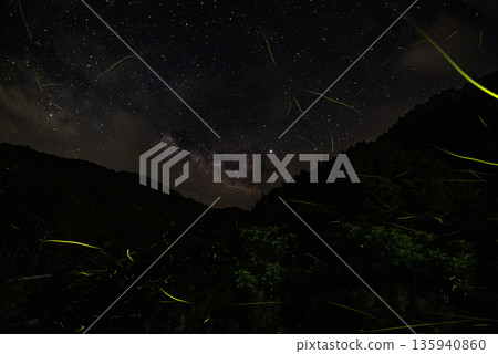 Scenery of Fireflies Dancing 135940860