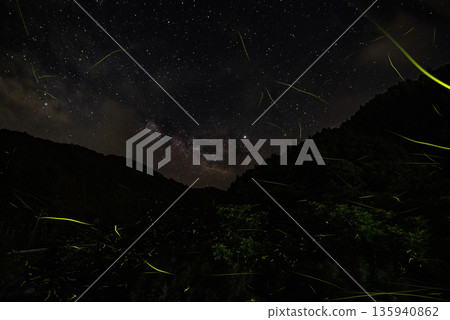 螢火蟲跳舞的風景 135940862