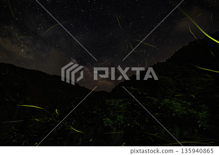 螢火蟲跳舞的風景 螢火蟲跳舞的風景 135940865