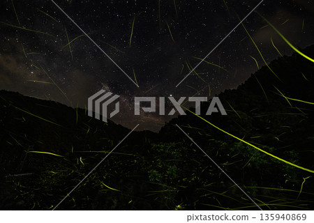 Scenery of Fireflies Dancing 135940869