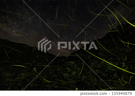 螢火蟲跳舞的風景 135940879