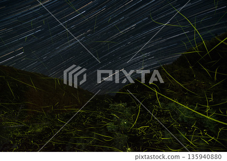 螢火蟲跳舞的風景 螢火蟲跳舞的風景 135940880