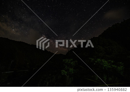 Scenery of Fireflies Dancing 135940882