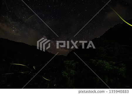 Scenery of Fireflies Dancing 135940883