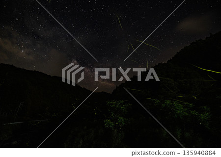 Scenery of Fireflies Dancing 135940884