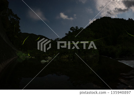 Scenery of Fireflies Dancing Scenery of Fireflies Dancing 135940897