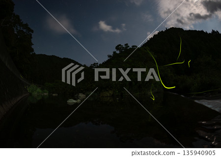 Scenery of Fireflies Dancing 135940905