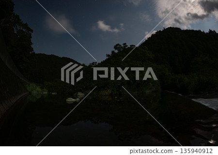 Scenery of Fireflies Dancing 135940912