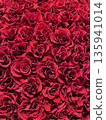 A gorgeous background covered with red roses A gorgeous background covered with red roses 135941014