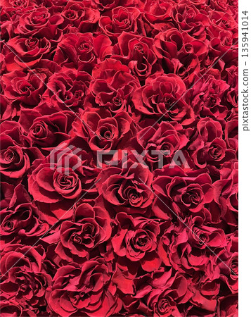 A gorgeous background covered with red roses A gorgeous background covered with red roses 135941014