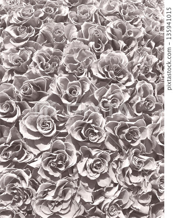 An elegant background image of white roses An elegant background image of white roses 135941015