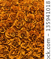 A gorgeous background of yellow roses A gorgeous background of yellow roses 135941018