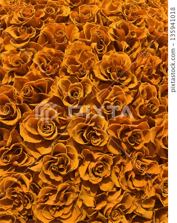 A gorgeous background of yellow roses 135941018